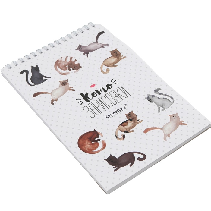 Скетчбук «Кот» А5, 40 л, 100 г/м 1825575