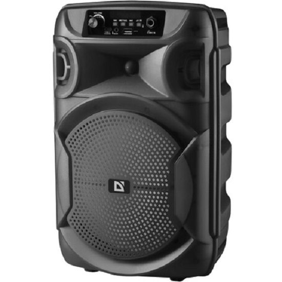 Колонка портативная DEFENDER Boomer 12 черный