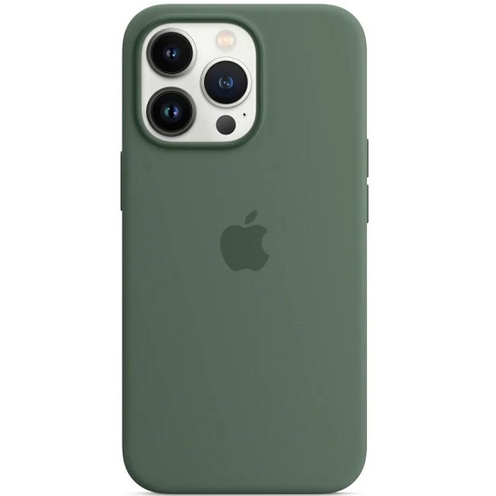 Силиконовый чехол SILICONE CASE MagSafe для iPhone 13 PRO №12 Eucalyptus (+АНИМАЦИЯ в цвет чехла)