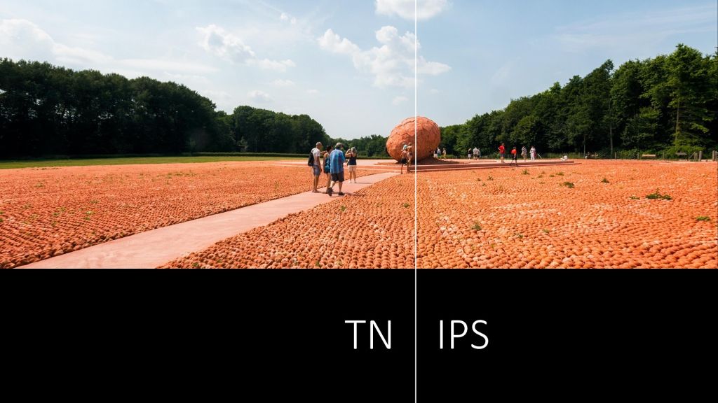 матрица TN против IPS