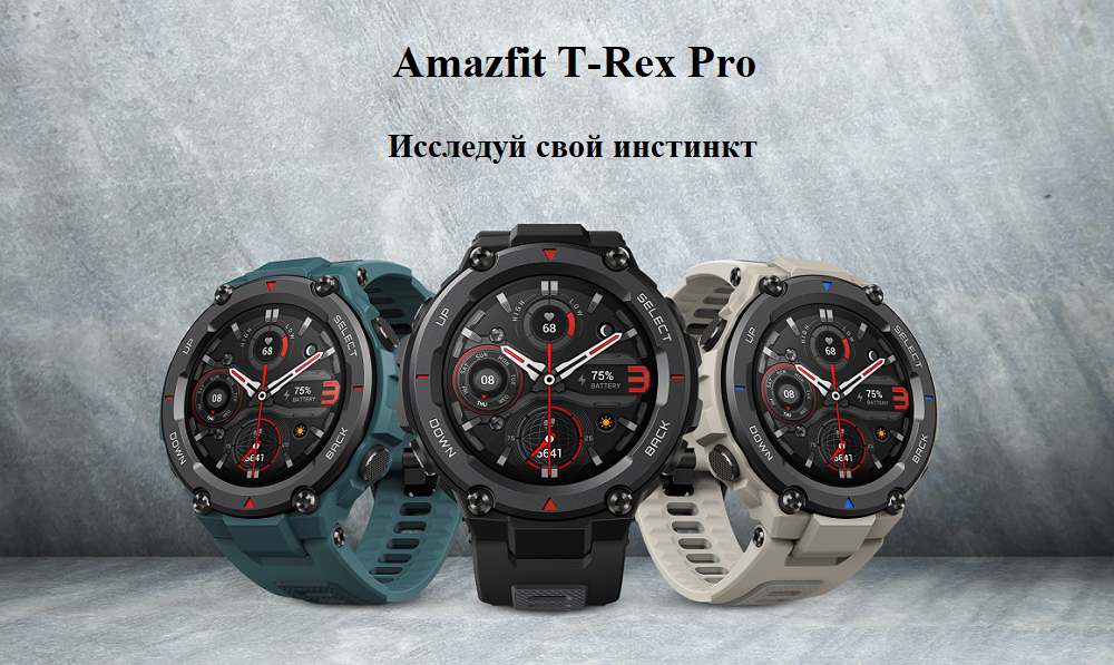 AMAZFIT T-Rex Pro.png