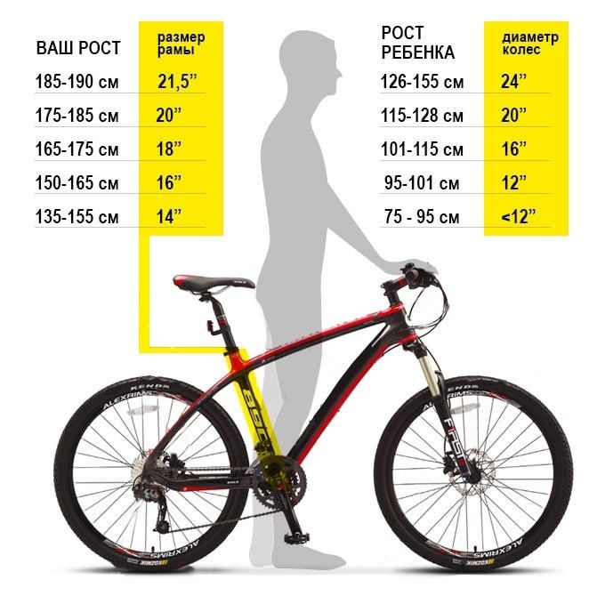 Размер рамы велосипеда по росту