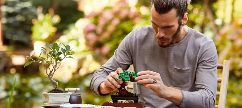 Конструктор LEGO Creator Expert 10281 Бонсай1.jpg