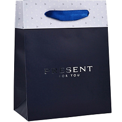 Пакет «Подарок», тиснение, MS 18×23×10 см 10364413