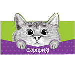 Конверт для денег фигурный «Кот», 17.5 х 8 см 4167092