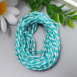 Хлопковый меланжевый шнур для творчества "Fabrica Decoru", белый с бирюзовым 7587089