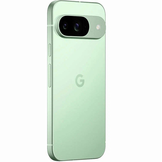 Смартфон Google Pixel 9 256 Wintergreen (US)