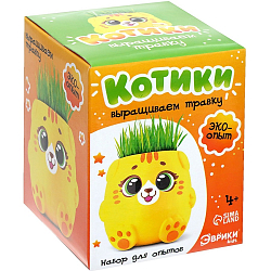 Набор для опытов «Котики. Выращиваем травку», жёлтый горшочек