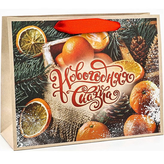 Пакет «Новогодняя сказка», 24×20×11 см 10612702