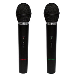 Микрофон RITMIX RWM-220