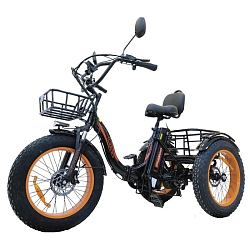 Электровелосипед Kugoo Trike 750W 48V 15.6Ah