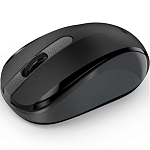 Мышь БП GENIUS NX-8008S черная,тихая