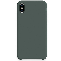 Силиконовый чехол SILICONE CASE для Iphone X/XS №58 зелёная сосна