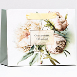 Пакет ламинированный горизонтальный "Милые пионы", 23 х 18 х 10 см   9916305