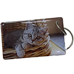 Ключ для домофона "Котик в корзинке"