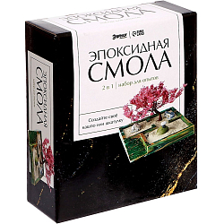 Набор для опытов «Эпоксидная смола», 2 в 1, кашпо и шкатулка 9257683