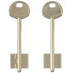 Заготовка ключа Гардиан-2 85*22,4*17,7 мм, лат., б/п