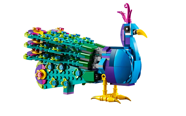 Величественный павлин  