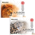 Альбом д/рис. BRAUBERG Благородные кошки 40л., 205х290мм,  МИКС102831
