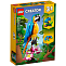 Конструктор LEGO Creator 31136 Экзотический попугай (Уп: 27*20*7)
