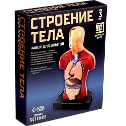 Научный опыт «Строение тела» 2772940