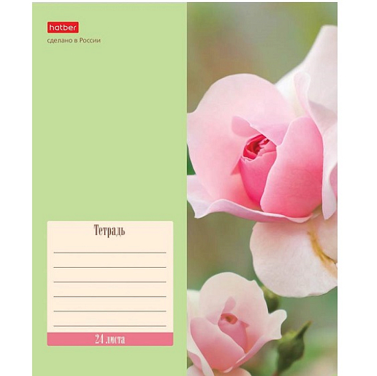 Тетрадь 24л., линия Hatber "Flowers" 24Т5В2