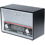 Радиоприёмник RITMIX RPR-102 Black