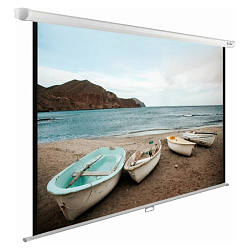 Экран Cactus 220x165 см WallExpert CS-PSWE-220x165-WT 1:1 настенно-потолочный рулонный белый