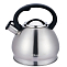 Чайник со свистком WILLMARK WTK-4221SS матовый