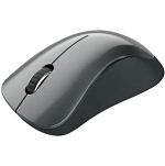 Мышь БП CANYON CNE-CMSW11B Black