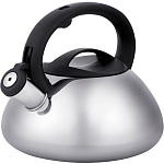 Чайник со свистком REGENT TEA 86-102, 3л