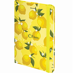 Блокнот BRAUBERG с резинкой без линовки 96л, А5 145х203 Lemons 113727