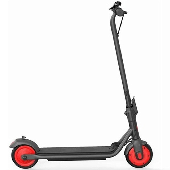 Электросамокат Ninebot KickScooter C20, светло-серый