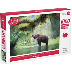 Пазл «Момент», 1000 элементов