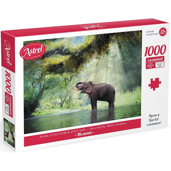 Пазл «Момент», 1000 элементов