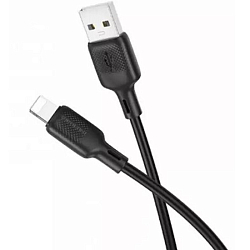 Кабель USB <--> Lightning 1.0м BOROFONE BX113 Black