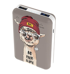 Внешний АКБ RITMIX RPB-10007 (10000mAh) (1USB) (2.1A) Lama