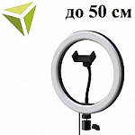До 50см