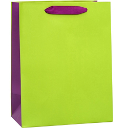 Пакет «Салатовый-сиреневый», MS 18×23×10 см 9612656