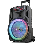 Колонка портативная BLACKTON Bt PBS2113 Черный