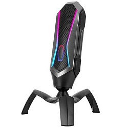 Микрофон RITMIX RDM-177 USB GAMING, конденсаторный