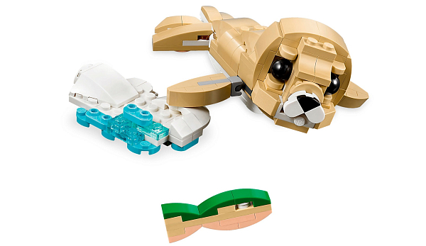 Морские приключения с тюленем 