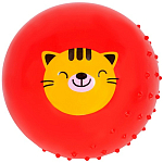 Мяч 22 см 141V-301