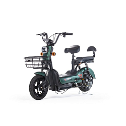 Электроскутер E-NOT 4812 черно-зеленый