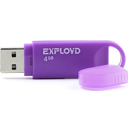 USB  4Gb Exployd 570 пурпурный