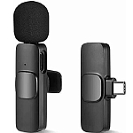 Микрофон БП К9 Type-C