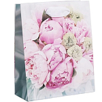 Пакет «Радости!», S 12 х 15 х 5.5