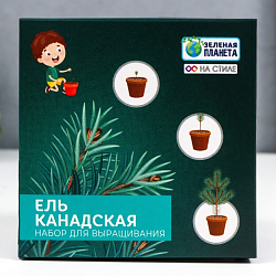 Набор для выращивания с глиняным горшочком (Ель Канадская) 9088351