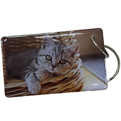 Ключ для домофона "Котик в корзинке"