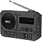 Радиоприемник RITMIX RPR-010 темно-серый